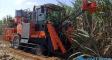 为甜蜜事业添动力！广西农投成功研制新型甘蔗收获机