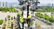 5G助力通信合作 川渝家庭短号将实现跨省互设