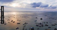中国最大的渔场 舟山渔场面积约5.3万平方公里