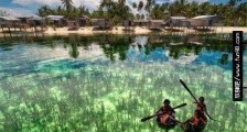 世界最透明度的海 马尾藻海透明度深达66.5米