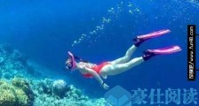 人类潜水最深纪录,无装备徒手下潜113米已经突破极限!
