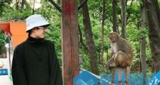 刘昊然和猴子对视照片曝光 刘昊然为什么和猴子对视网友评论亮了