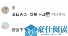 抖音夏日炎炎野猪下田什么意思
