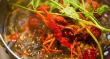 吃货是什么意思?吃货的等级头衔 关于吃货的朋友圈说说