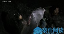 世界上最凶残的蝙蝠 猪脸大蝙蝠动物界的隐形杀手