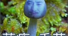 创业路上,哪些瞬间让你“蓝瘦(难受),香菇(想哭)”?
