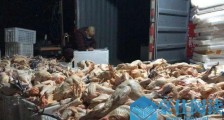 乡镇快递员“众筹”1200只土鸡支援武汉，被村民质疑帮人卖鸡