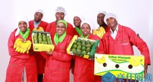 肯尼亚农业科技创业公司 Selina Wamucii 为团体和合作社开放平台