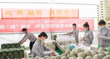 农业农村部点赞阿里“爱心助农”,30位院士专家领衔“超级助力团”