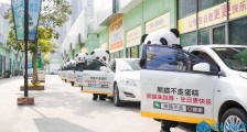 IDG投资数千万:互联网烘焙品牌“熊猫不走”圈粉800万 单月营收数千万