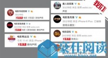 春节档电影全部宣布撤档 网友回应：择日再见
