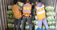 铁路四川成都局集团公司采购138吨大白菜驰援武汉