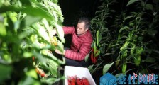 点赞！山东省捐赠首批350余吨新鲜蔬菜启运驰援武汉