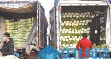 超市增加大众菜储量 新发地多举措保供 蔬菜价格正陆续回落