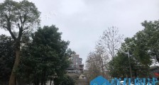做好防护!北方多地将迎今年首个10℃+ 南方明起再迎大范围降雨