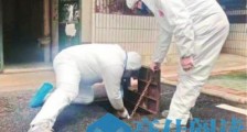武汉:上万人冲在一线保障城市“生命线”