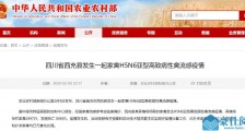 四川西充县发生H5N6禽流感 四川湖南禽流感最新消息2020