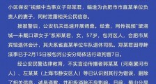 “领导妻子未戴口罩辱骂殴打小区保安”?合肥警方发出通报