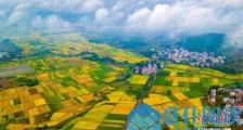 最高检:绝不允许在耕地上建所谓大棚房生态园