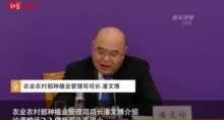 草地贪夜蛾入侵是真的吗?粮农组织发布沙漠蝗全球预警 如何做好虫灾防控?