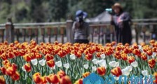 贵州龙里天气晴好花朵飘香 游客走进公园乐享周末时光
