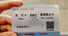 湖南医疗队收获特殊高铁票：武汉出发 返程终点站是美丽家乡站