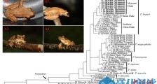 中国科学院东南亚生物多样性研究中心：在缅甸发现3种两栖类新纪录