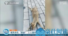 淮安三人私设电网捕杀珍贵河麂 嘴馋贪吃野味被判刑