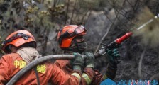 西藏林芝森林火灾明火已扑灭 起火原因正调查