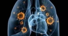 哈尔滨1传71疑似源头去过上海!哈尔滨排查四千余人 疑似源头韩某还去过上海