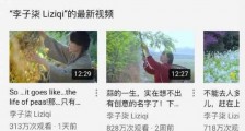李子柒海外粉丝破千万 成Youtube中文创作第一人