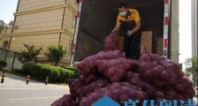 前男友把1吨洋葱转手卖1000多元 “我没有剥开这些洋葱 也没有哭”