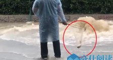 广东遭遇暴雨市区内涝严重 广州黄埔区全天停课