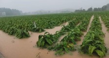 湖南江华县遭遇洪水袭击 当地16个乡镇超10万人受灾