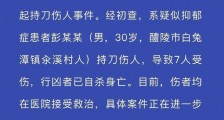 湖南一男子持刀伤7人后自杀怎么回事?湖南醴陵市男子持刀伤人事件始末 伤人男子系抑郁症患者