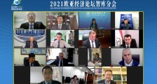 2021欧亚经济论坛智库分会  “互通互融 共享共赢”国际研讨会线上举行