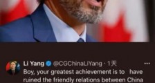 痛骂特鲁多走狗、败家子,为这位战狼外交官点个赞!
