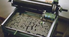 “汉字不灭,中国必亡”,为何当年鲁迅如此极端?