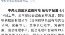 不顾全国家大局者,那就下去反省吧!