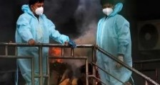 媒体终于开始关注印度疫情了,一场惨烈的金融大屠杀正在拉开序幕!