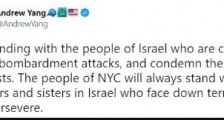 美国华人不适合掺和美国政治!