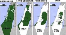 巴勒斯坦人的救亡图存，只能学习中国！