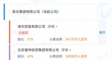紫光破产:芯片大跃进真的是个错吗?