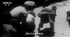 了解西藏70年,这部纪录片必看!