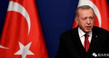 发生了什么？土耳其欲一口气驱逐西方10国大使！