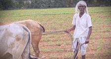 艰难的印度农民：一年自杀过万，至少1亿人没有土地！