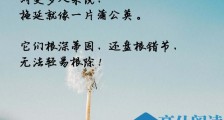 越“优秀”的人，反而越容易“拖延”