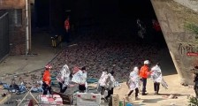 穷途末路:香港暴徒最后的日子里只做这两件事情!