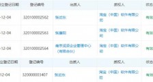 张近东把苏宁押给了马云!