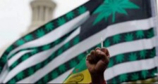 大麻:美国大选里的最大赢家!